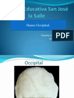 Hueso Occipital