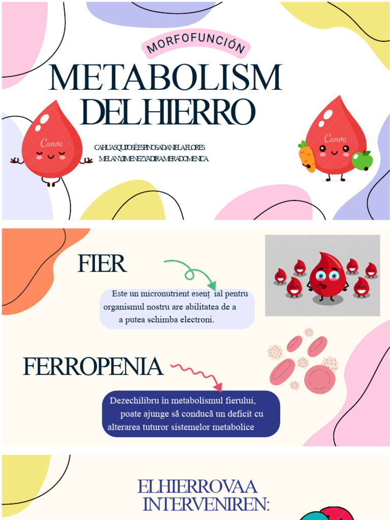 Metabolismul Fierului | PDF