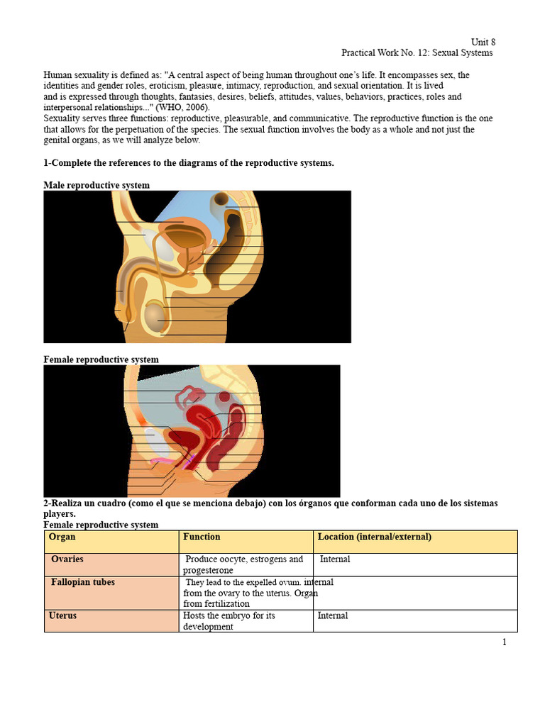 Practical Work 12 - Sexual Systems | PDF | Human Sexuality ...