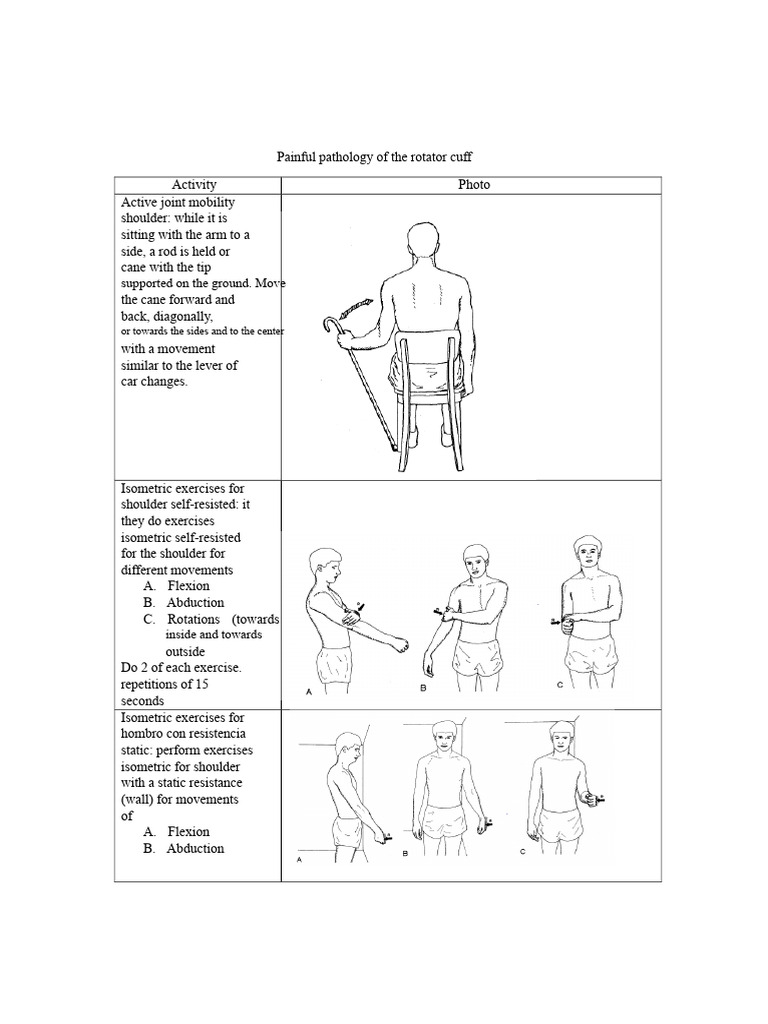 Rotator Cuff | PDF