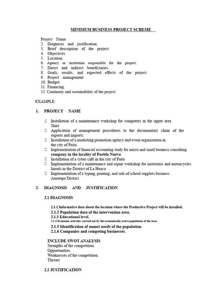 Minimum Business Project Scheme Guide | PDF | Internal Rate Of Return ...