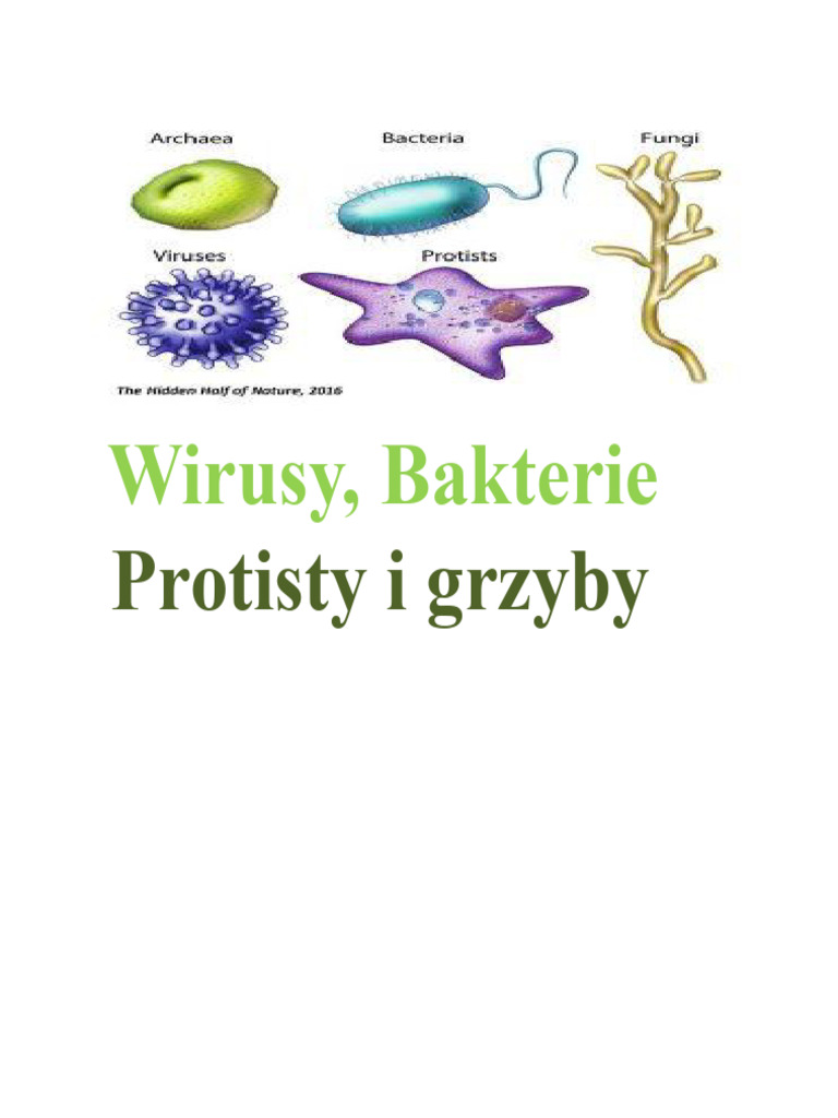 Wirusy Bakterie Protisty I Pleśnie | PDF