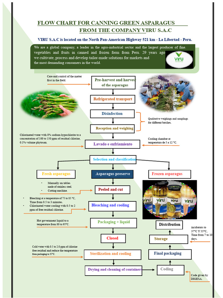 Canning Process Flow Chart for Asparagus | PDF | Chlorine | Water