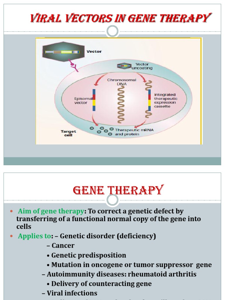 Viral Vectors in Gene Therapy 97-2003 | PDF | Viral Vector | Retrovirus
