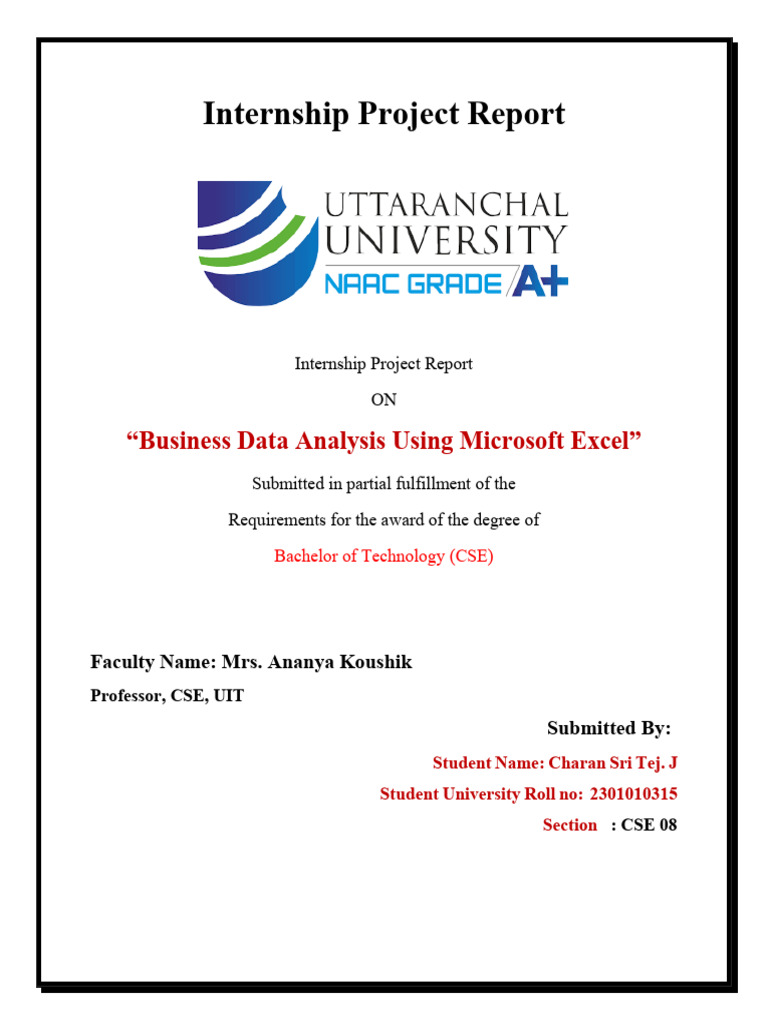 JADDU's Internship Report | PDF | Microsoft Excel | Data