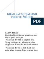 Khao Sat Su Tai Sinh Choi Tu Mo Seo 9362