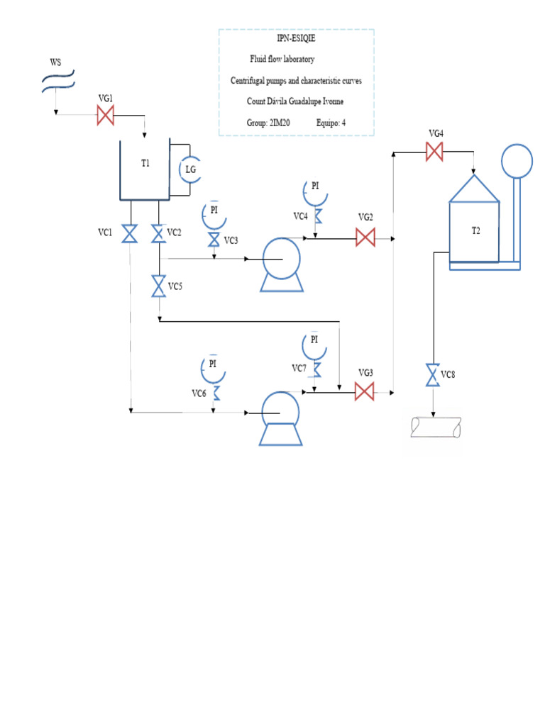 Centrifugal Pumps Lab Analysis | PDF