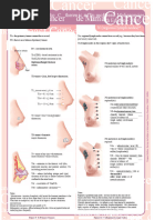 AJCC 8th Edition pTNM Staging Guide | PDF | Metastasis | Ovarian Cancer
