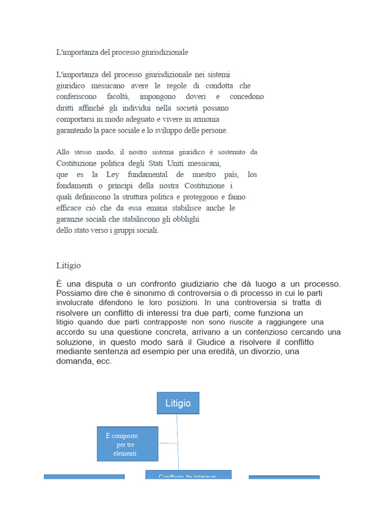L'importanza Del Processo Giurisdizionale | PDF