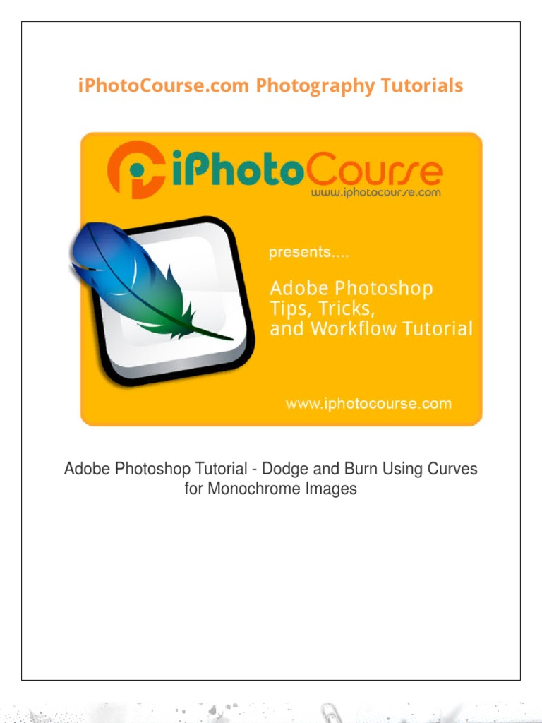 Create Great Black and White Digital Photos With Adobe Curves PDF Adobe