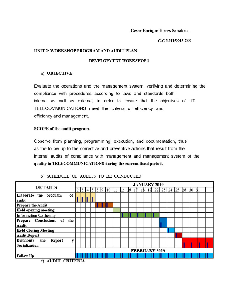Telecommunications Audit Plan 2019 | PDF | Audit | Auditor's Report