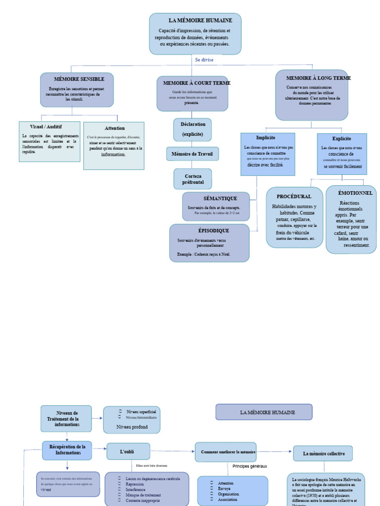 Comprendre la mémoire humaine et son fonctionnement | PDF | Mémoire ...