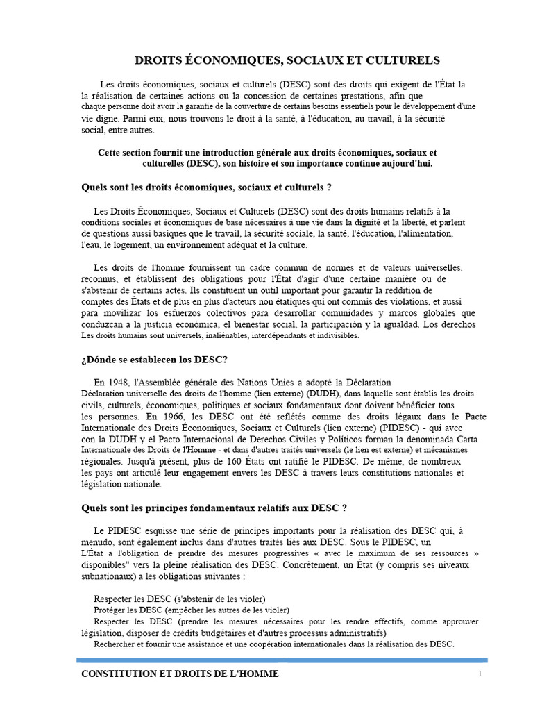 Comprendre les Droits Économiques et Sociaux | PDF | Droits de l'homme ...