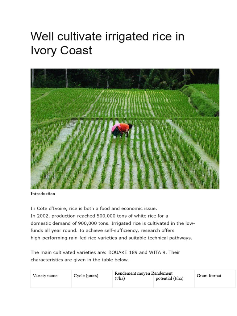 Irrigated Rice Cultivation in Ivory Coast | PDF | Soil | Rice