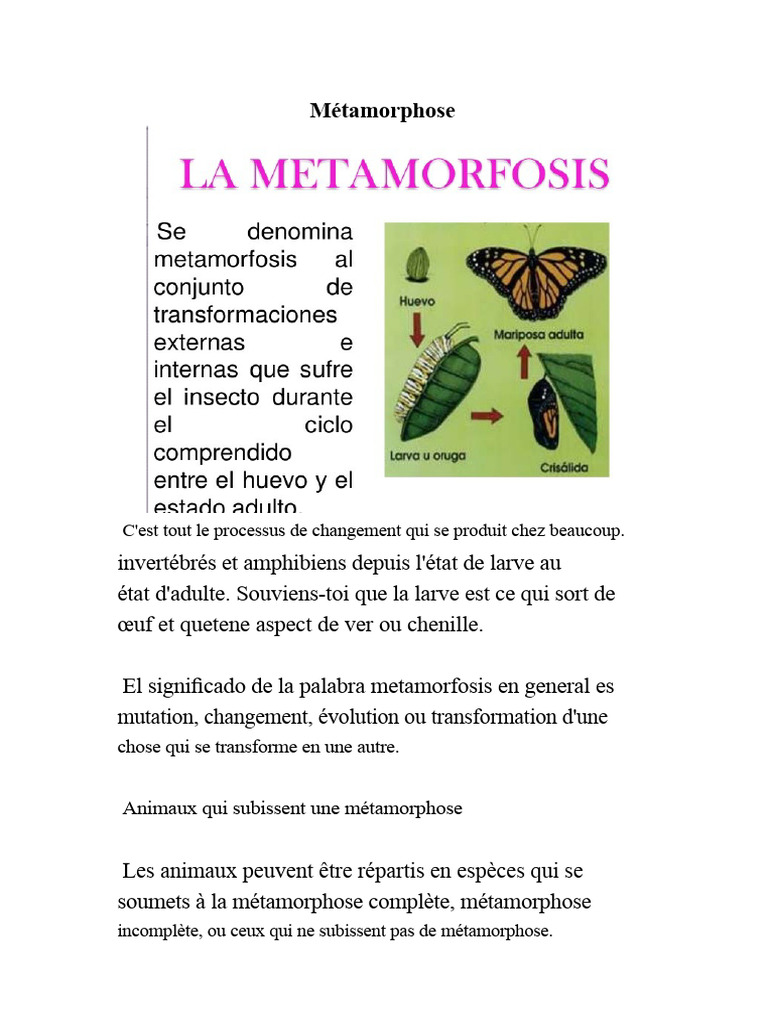 Métamorphose : Processus et Types | PDF | Insectes | Amphibiens