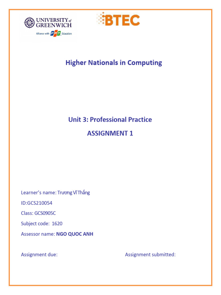Professional Practice in Computing Assignment | PDF