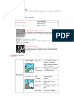 Tipos de Ligamentos y Fibras