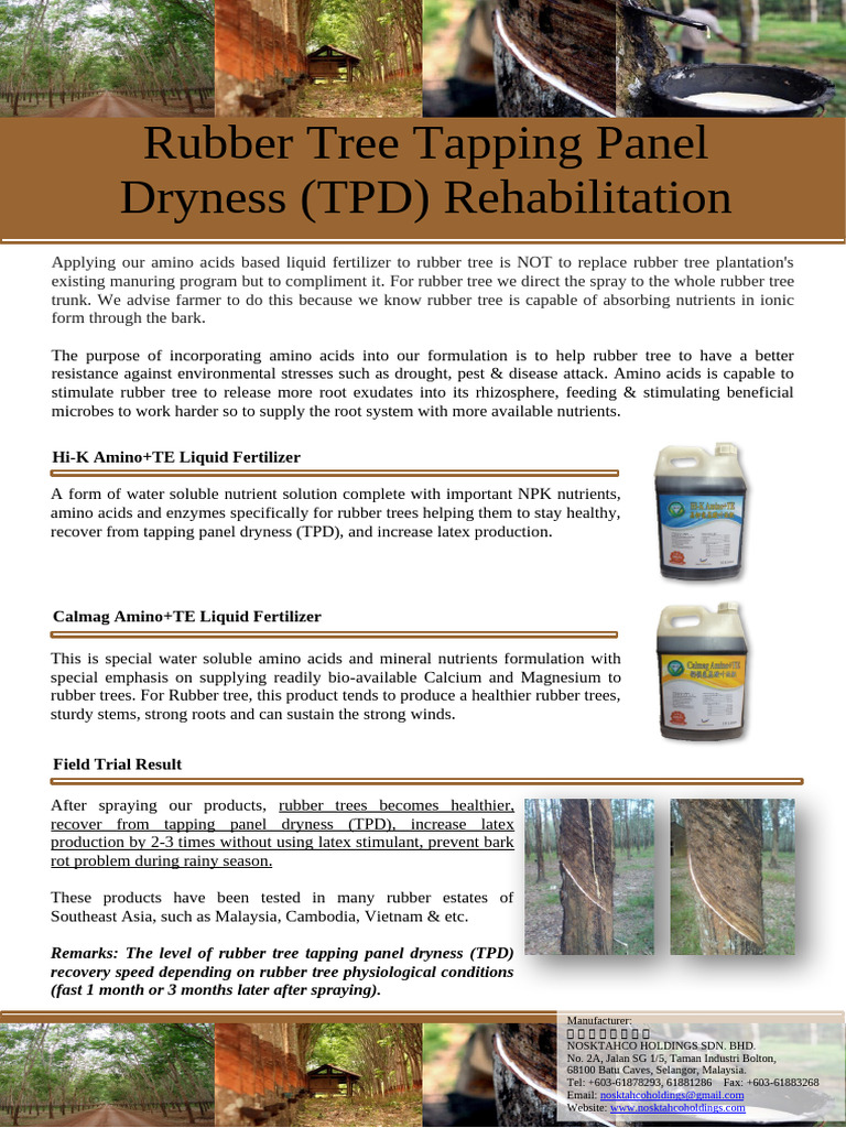 Boost Rubber Tree Health with Amino Fertilizer | PDF | Natural Rubber |  Trees