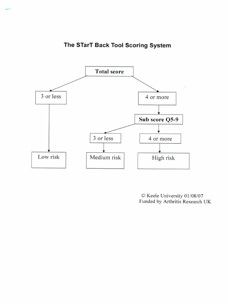 STar T Questionaire Grading06072017 | PDF
