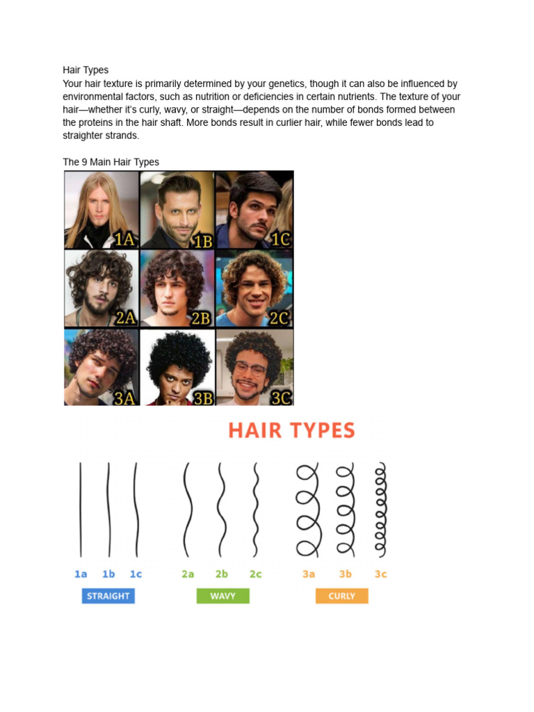 Hair Types | PDF | Hair | Integumentary System