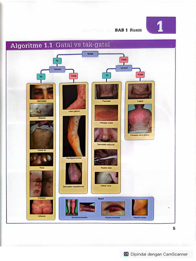 Algoritma Dermatologi Dasar | PDF