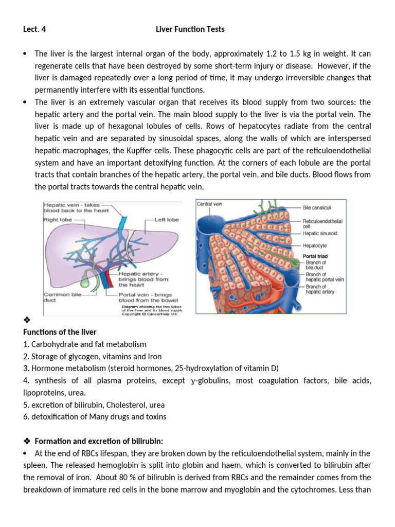 Liver Function Tests Overview | PDF | Liver | Cirrhosis