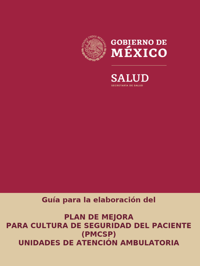 Plan de Mejora para Seguridad del Paciente | PDF | Medición | Seguridad ...
