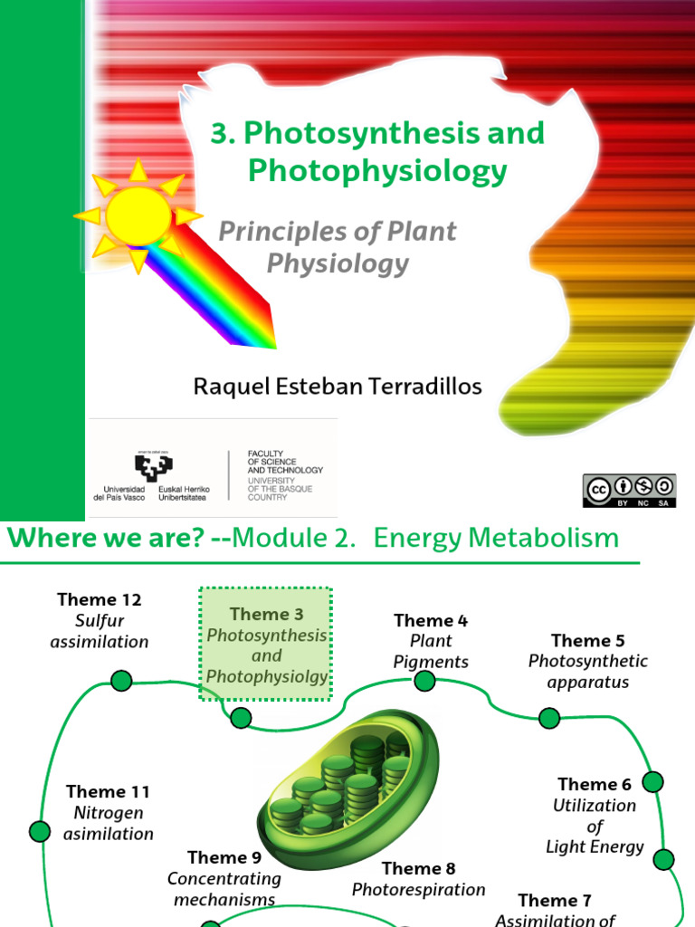 Photosynthesis and Light Energy Dynamics | PDF | Electromagnetic ...