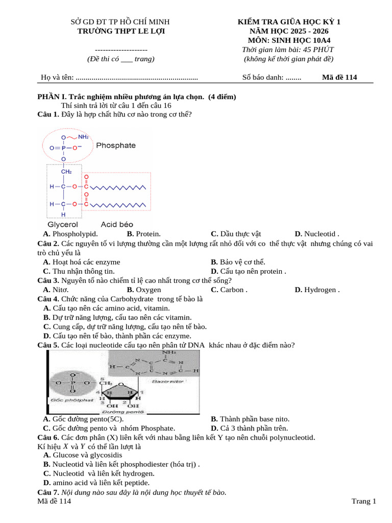 Ma de 114 | PDF