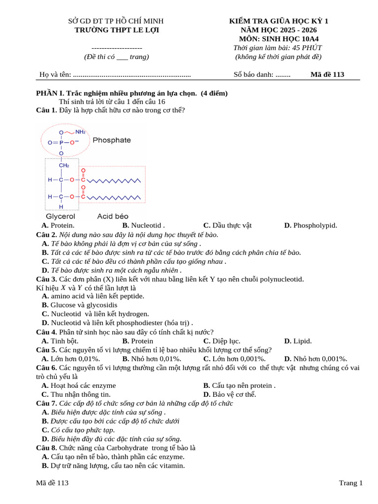 Ma de 113 | PDF