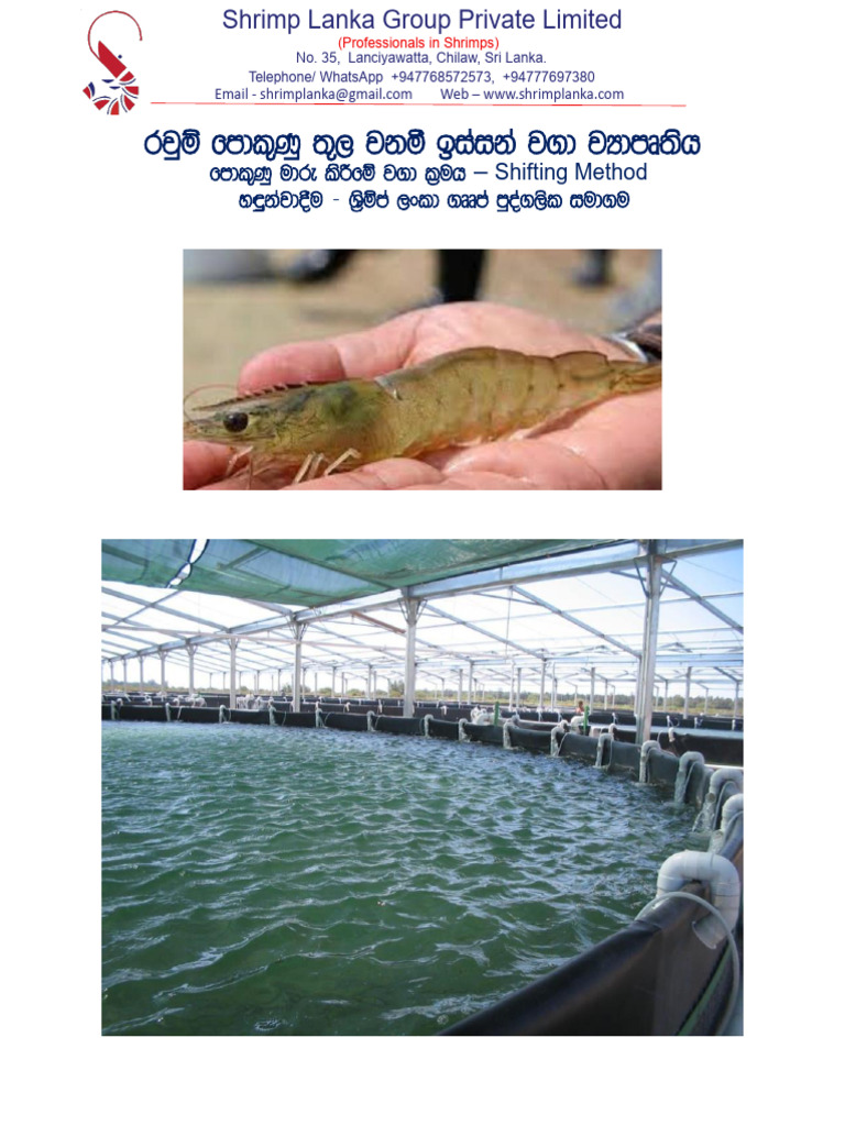 Shrimp Farming Techniques in Sri Lanka | PDF