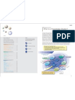 Knowledge Clusters Japan