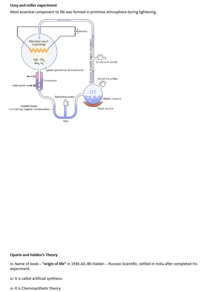 Origin of Life For Class - Copy - Stusy | PDF | Abiogenesis | Nature