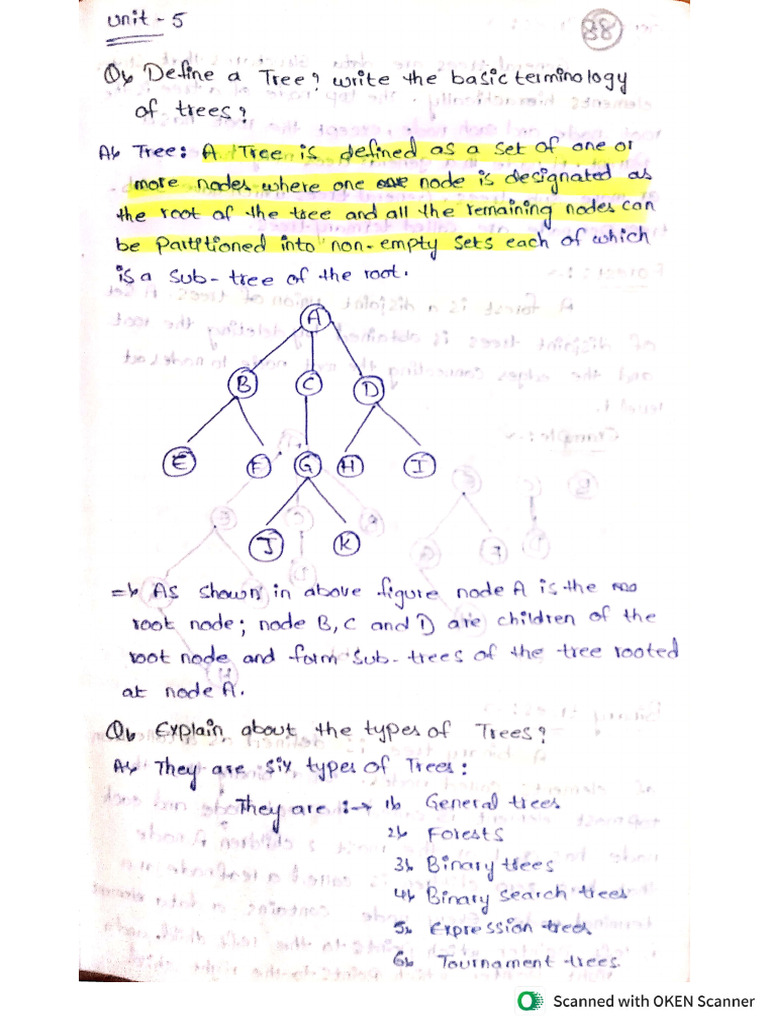 DATA STRUCTURE BCA 3 Sem 5th Unit All Lesson | PDF