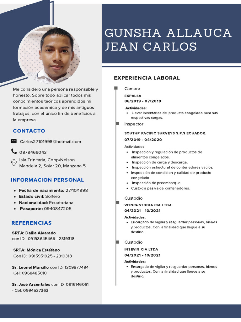 Perfil Profesional de Inspector y Custodio | PDF