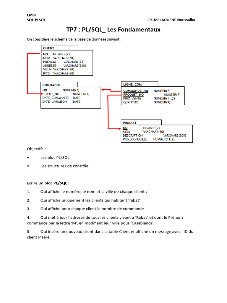 Fondamentaux de PL/SQL : Exemples Pratiques | PDF