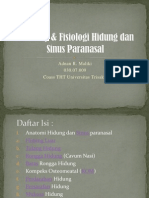 Anatomy & Fisiologi Hidung Dan Sinus Paranasal