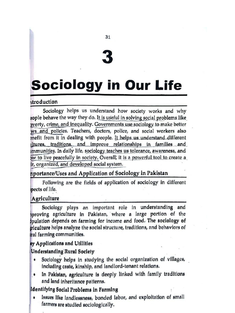 Sociology 3 | PDF