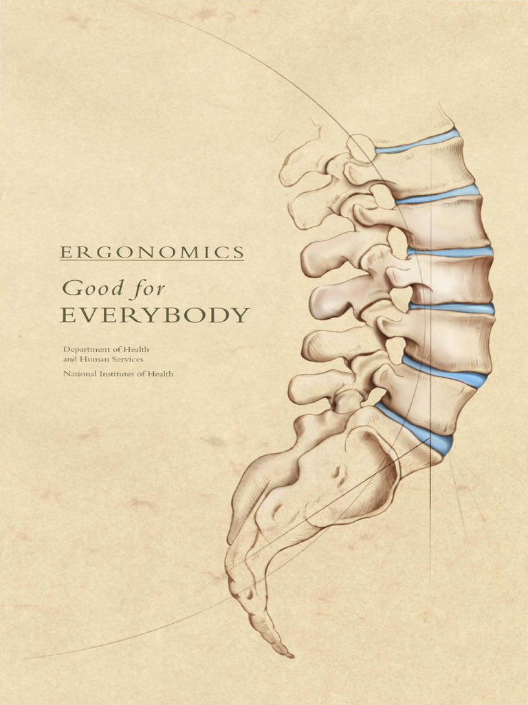 Ergonomics: Tips for Safe Work Practices | PDF | Chair