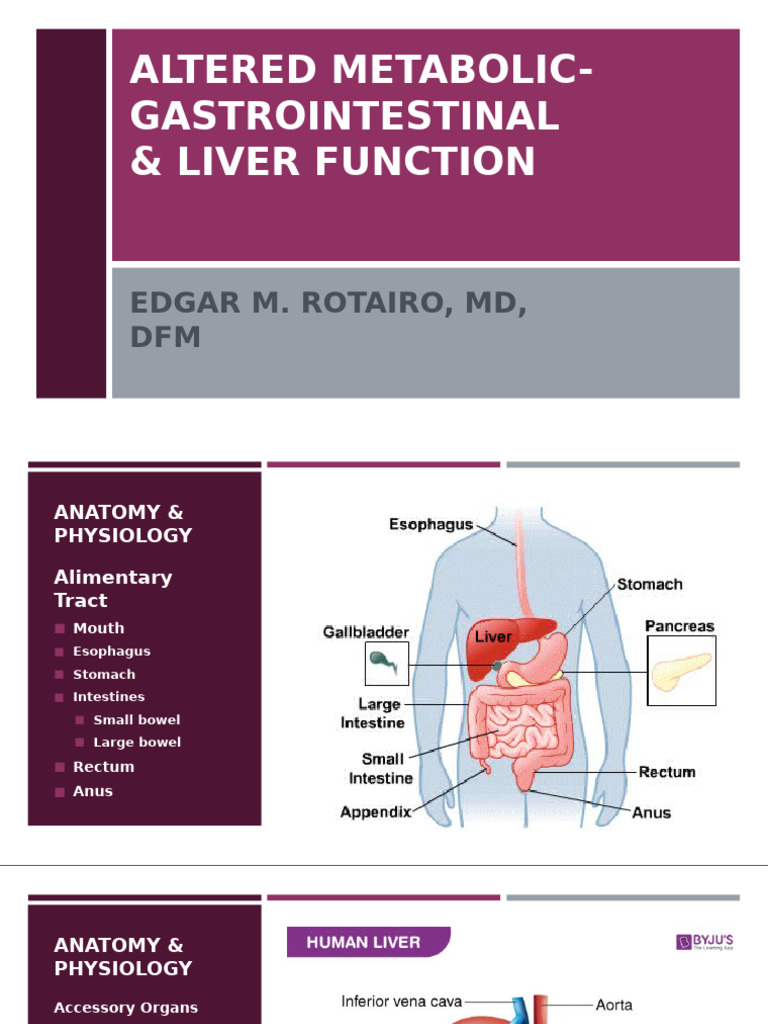 Gastrointestinal and Liver Function Overview | PDF | Gastrointestinal ...