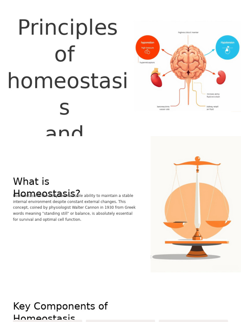 Understanding Homeostasis and Conformity | PDF | Homeostasis | Physiology