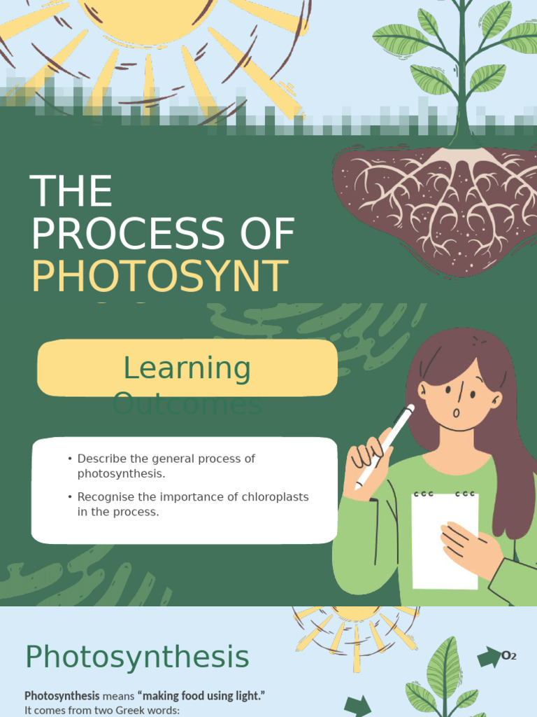 The Process of Photosynthesis Education Presentation in Green Style ...