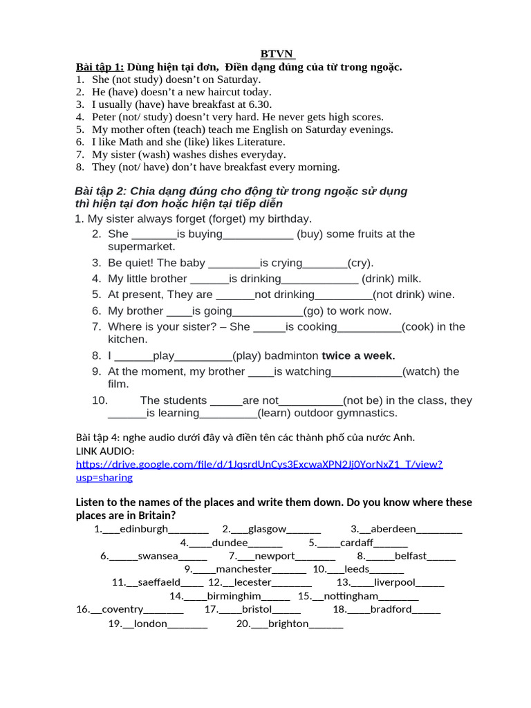 English Grammar Exercises for Beginners | PDF