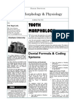 Tooth Form & Function - I