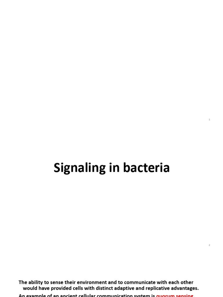 Presentation 13 Cell Signaling Basic Principles 2025 | PDF | Cell ...