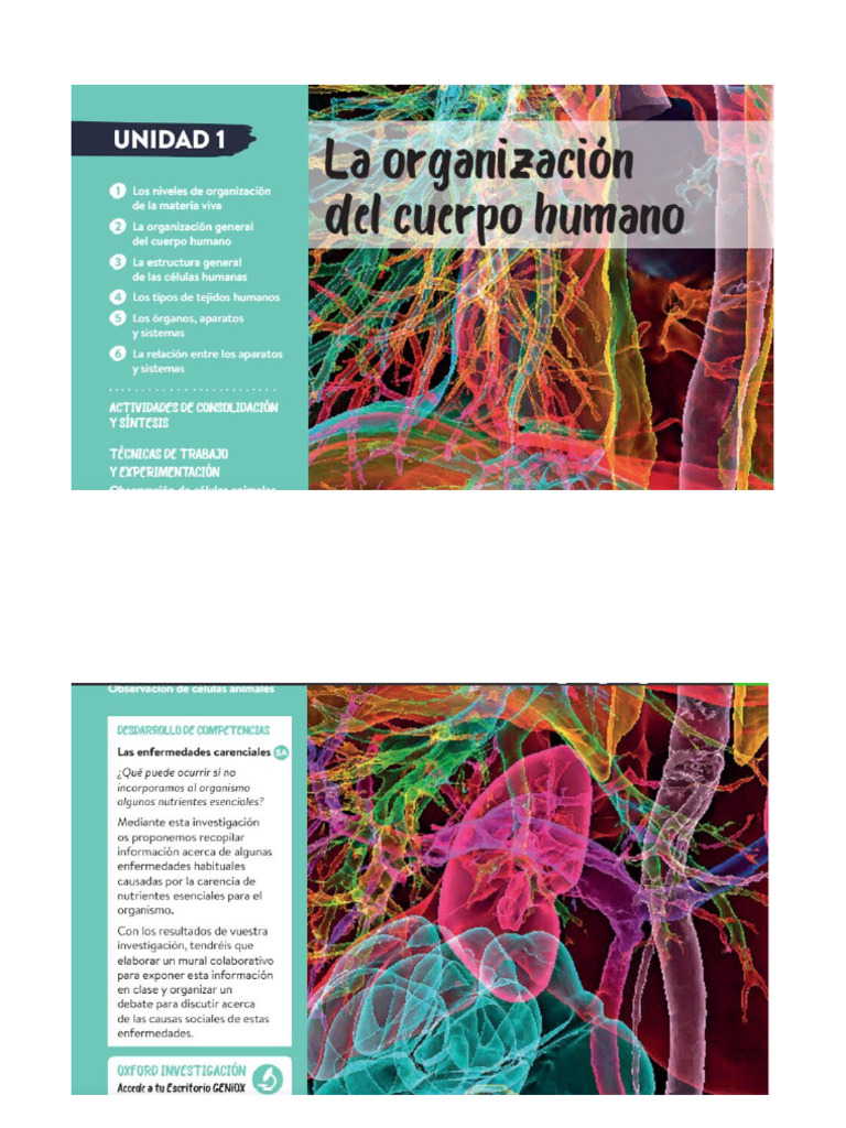 Libro Tema 1 | PDF