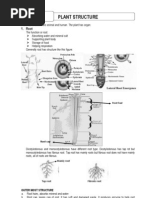 Plant Structure