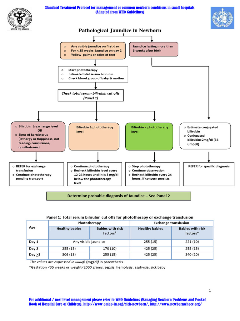 Hyperbilirubinemia | PDF | Liver | Medical Specialties
