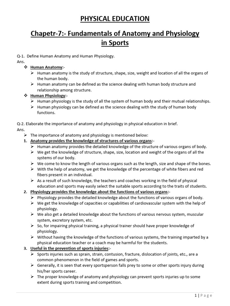 PE Chapter 7 Notes | PDF | Artery | Circulatory System