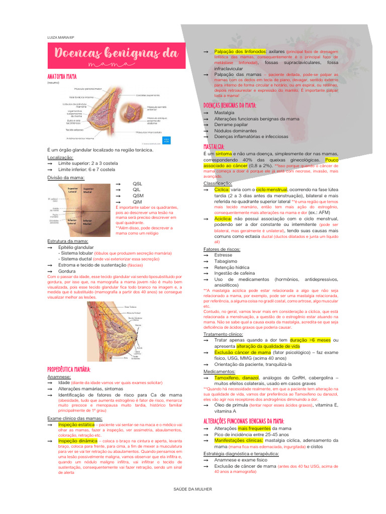 Anatomia e Saúde da Mama: Guia Completo | PDF | Câncer de mama | Seio
